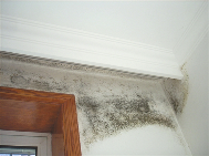 湿度“飙升”!再回到南天“防潮作战”,选好门窗是关键!